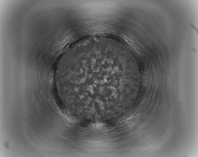 X0000098010695200804071328