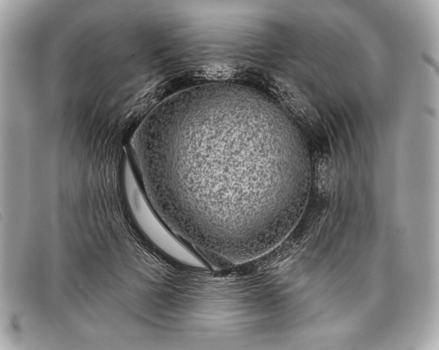 X0000098010697200804071328