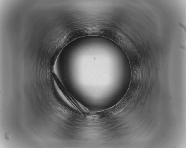 X0000098010700200804071328