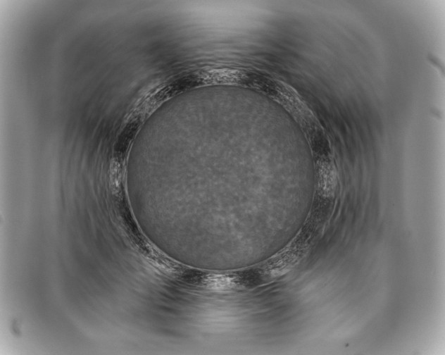 X0000098010701200804071328