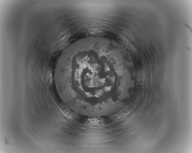 X0000098010703200804071328