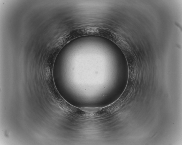 X0000098010704200804071328