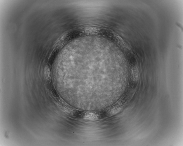 X0000098010705200804071328