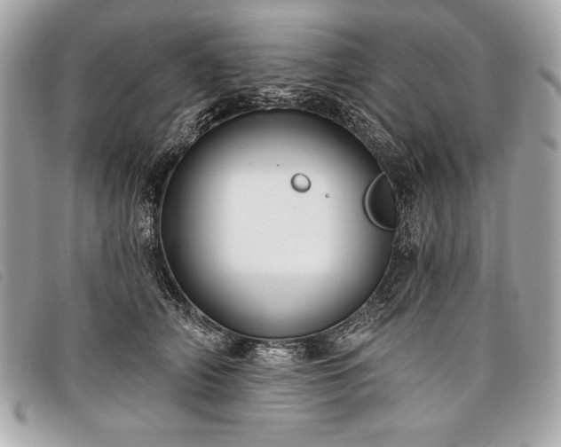 X0000098010706200804071328