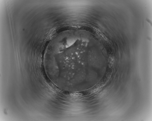 X0000098010707200804071328