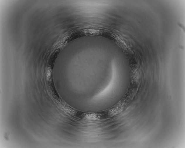 X0000098010709200804071328