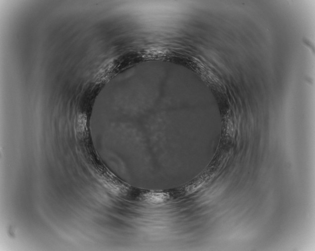 X0000098010711200804071328