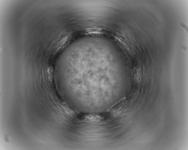 X0000098010712200804071328