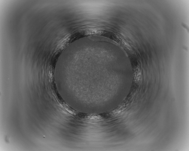 X0000098010716200804071328