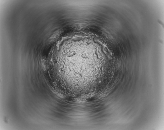 X0000098010719200804071328