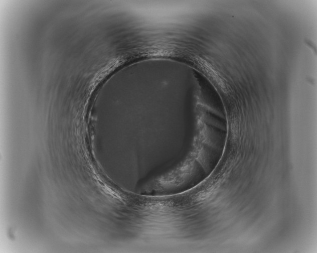 X0000098010721200804071327