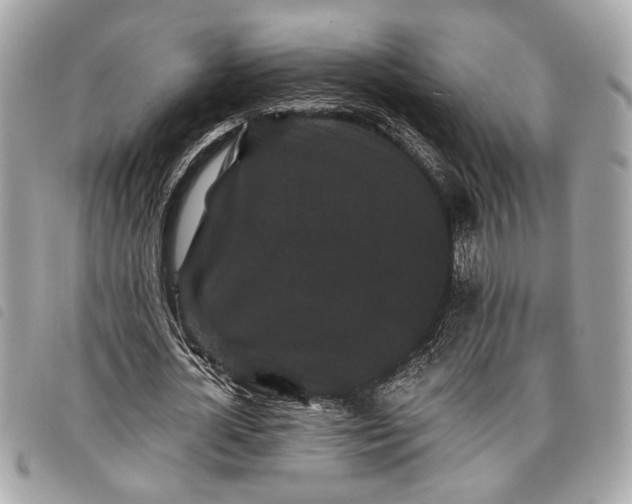 X0000098010724200804071327