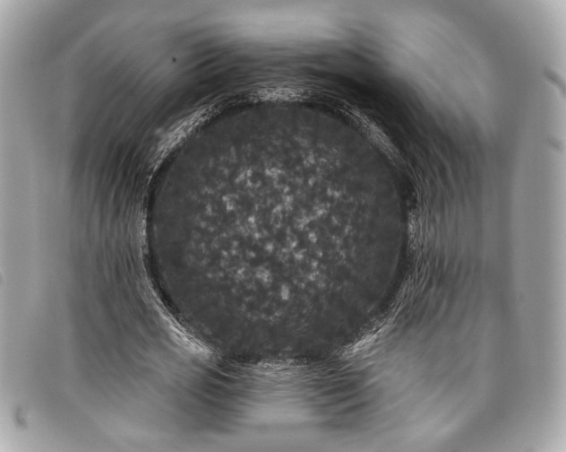 X0000098010725200804071327