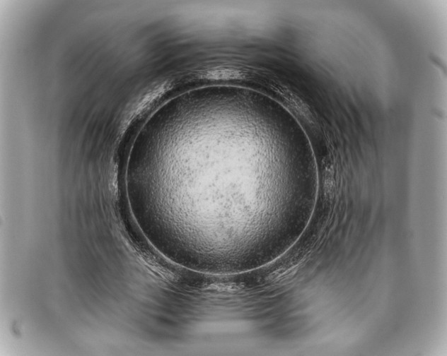 X0000098010727200804071327