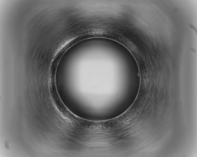 X0000098010728200804071327