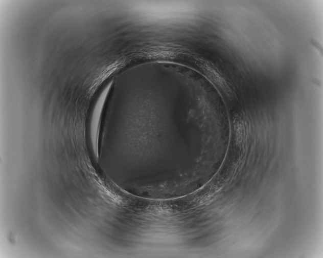 X0000098010729200804071327