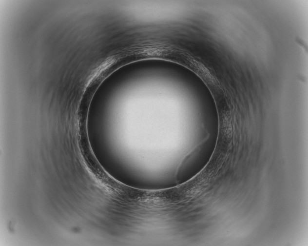 X0000098010730200804071327