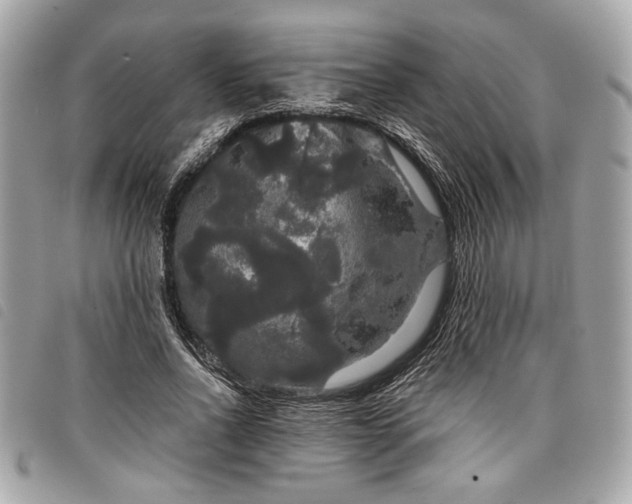 X0000098010734200804071327