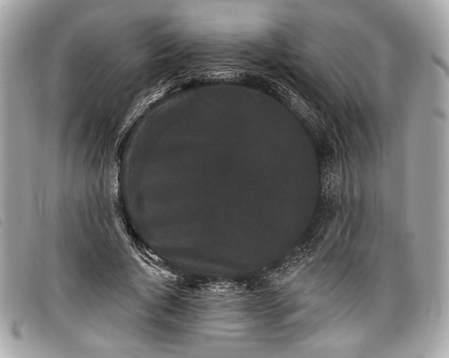 X0000098010736200804071327