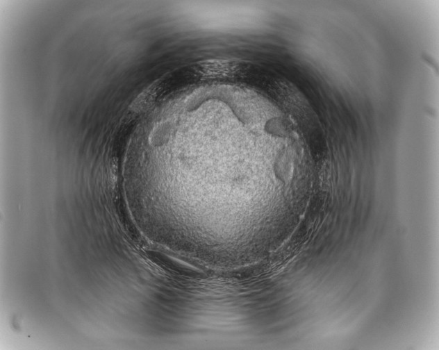 X0000098010737200804071327