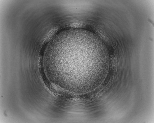 X0000098010738200804071327