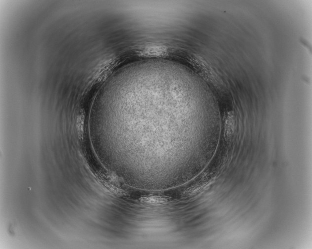 X0000098010739200804071327