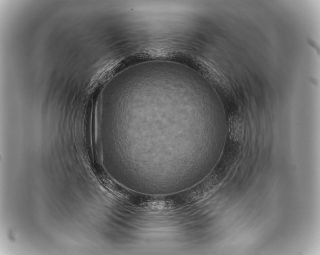 X0000098010740200804071327