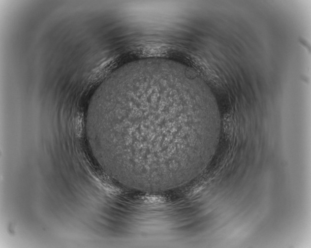 X0000098010741200804071327