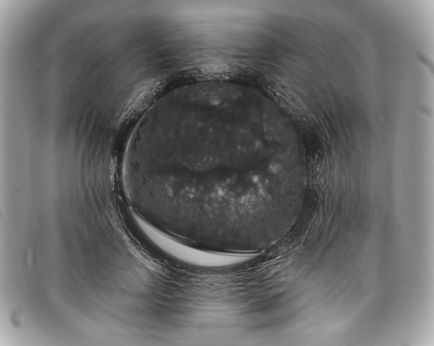 X0000098010742200804071327