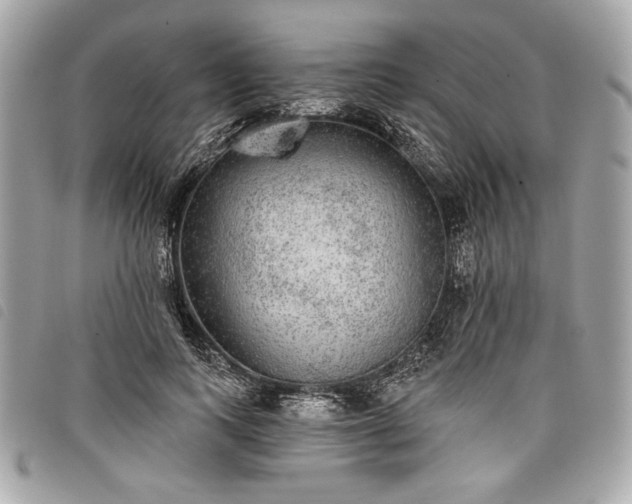 X0000098010743200804071327