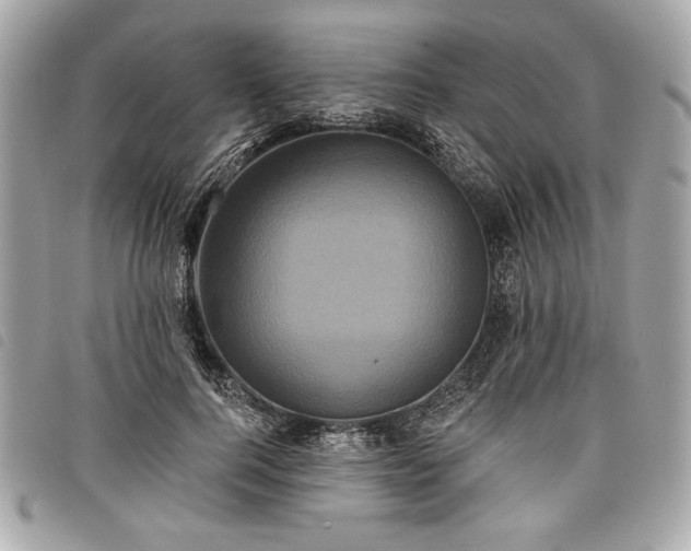 X0000098010744200804071327