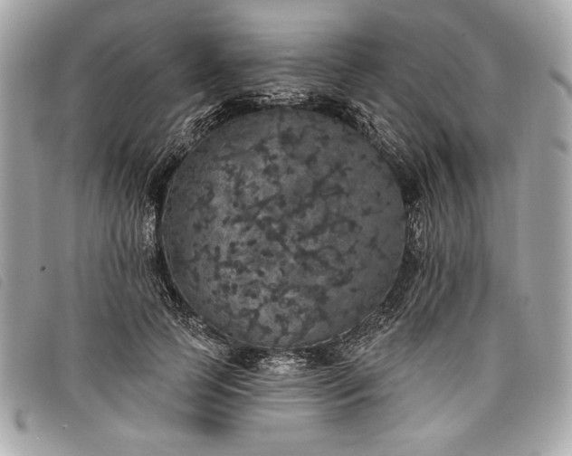 X0000098010745200804071327