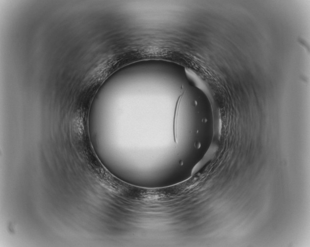 X0000098010746200804071327