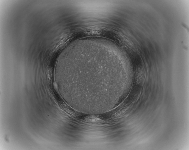 X0000098010747200804071327