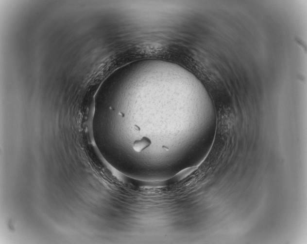 X0000098010750200804071327