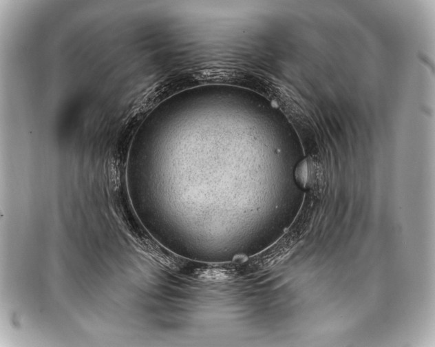 X0000098010751200804071327