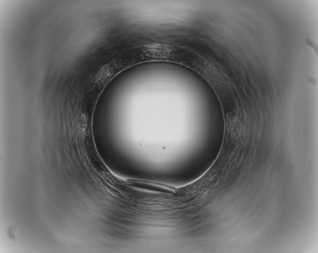 X0000098010752200804071327