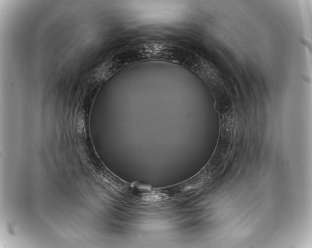 X0000098010754200804071327