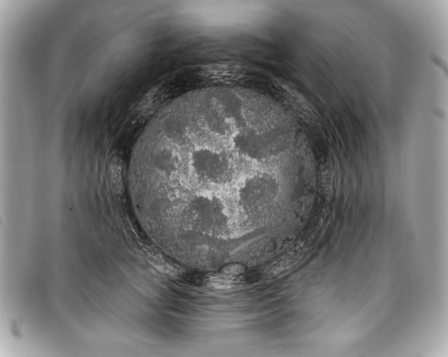 X0000098010757200804071328