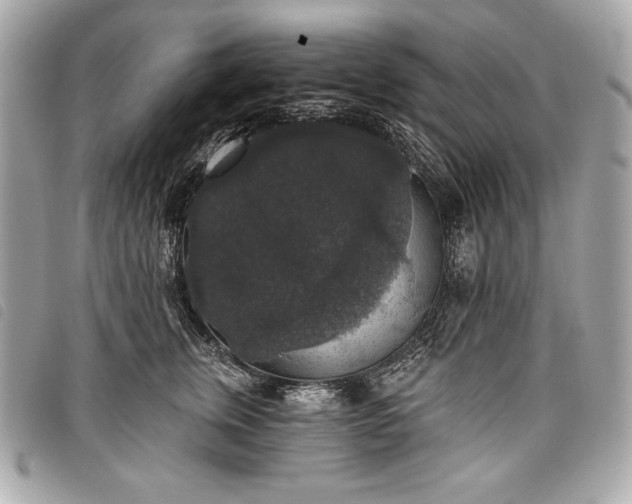 X0000098010759200804071328