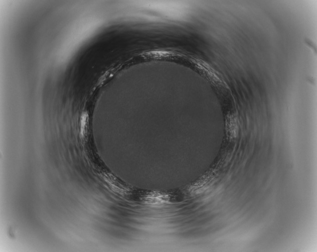 X0000098010760200804071328