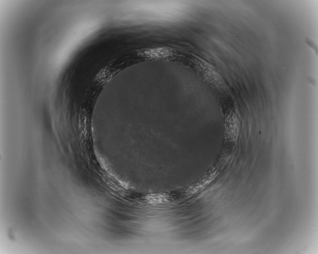 X0000098010762200804071328