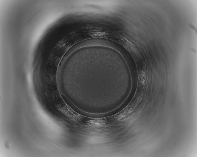 X0000098010763200804071328