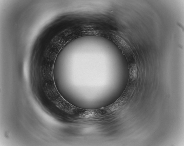 X0000098010764200804071328