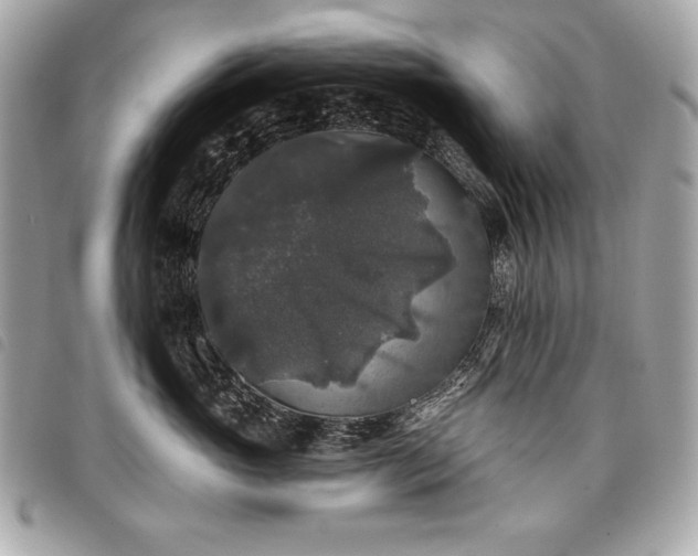 X0000098010765200804071328