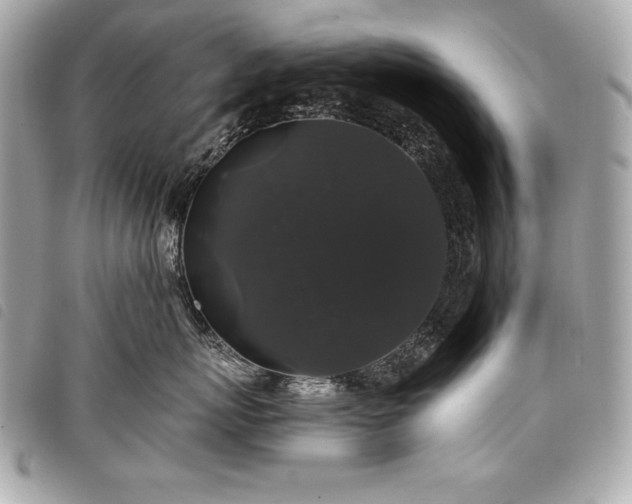 X0000098010767200804071328