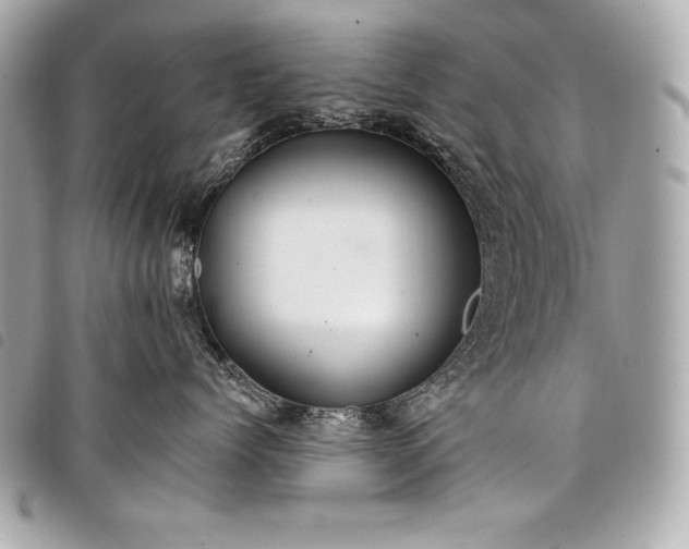 X0000098010768200804071328