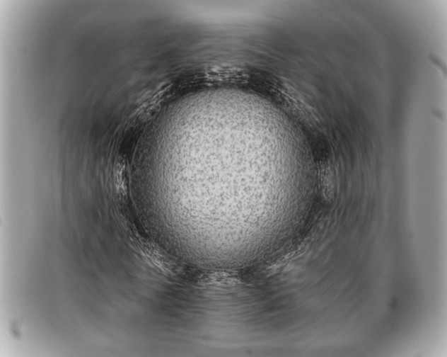 X0000098010770200804071327