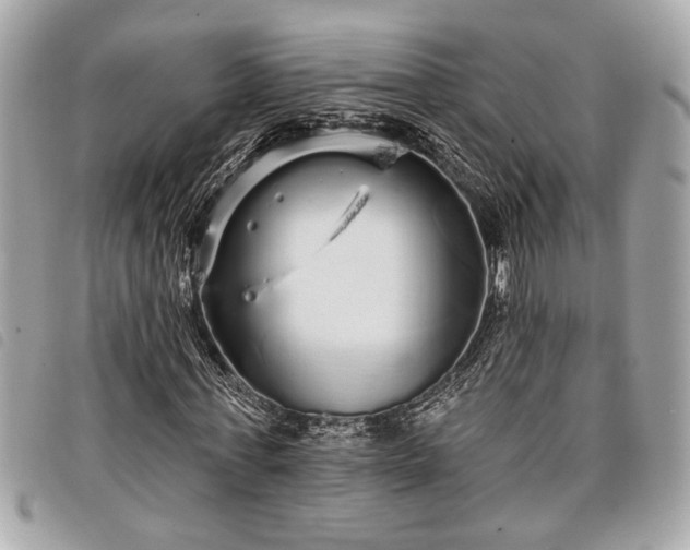 X0000098010771200804071327