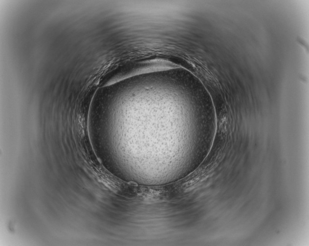 X0000098010772200804071327